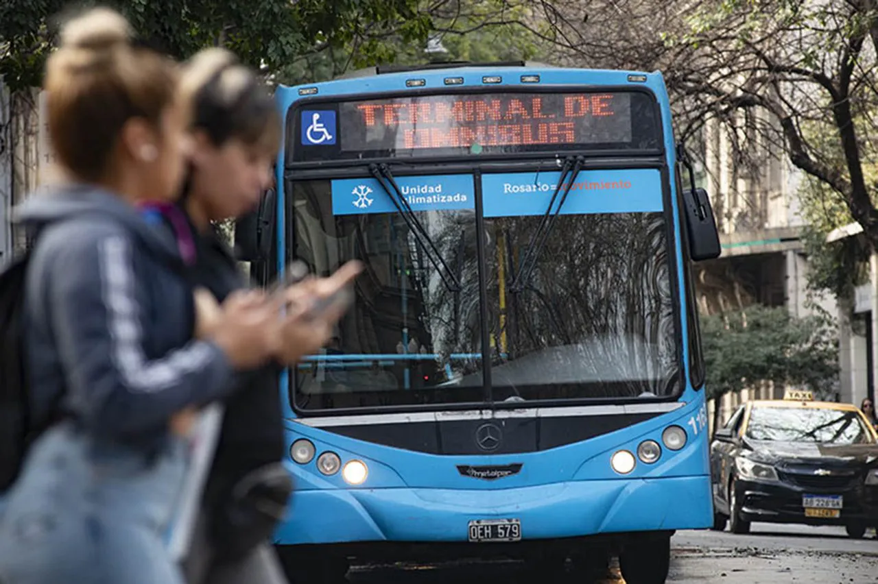 colectivos