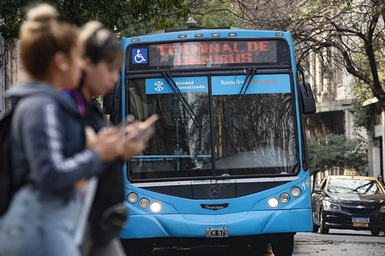 colectivos