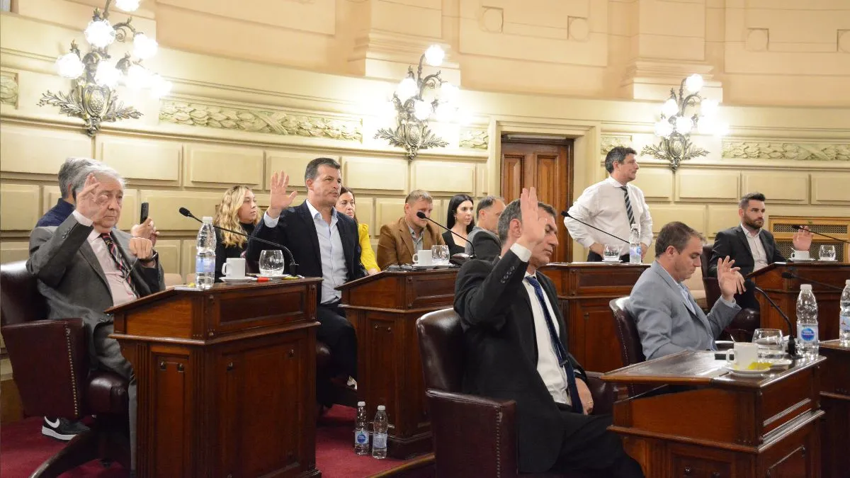 senado-senadores-2024jpg