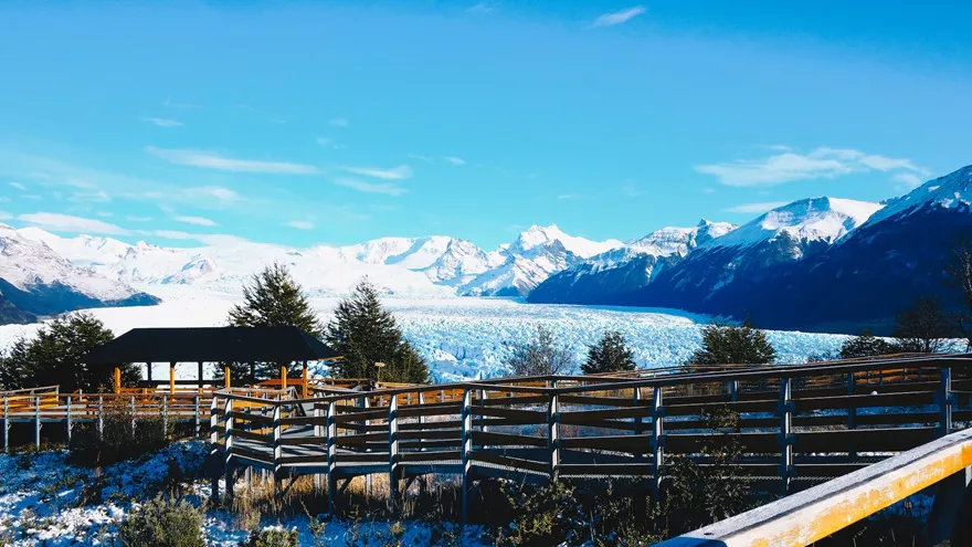 calafate