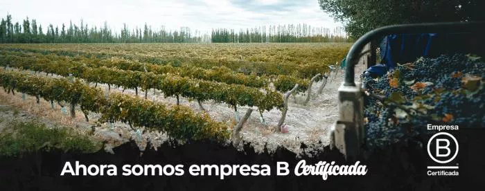 IMG Bodega Araujo Empresa B