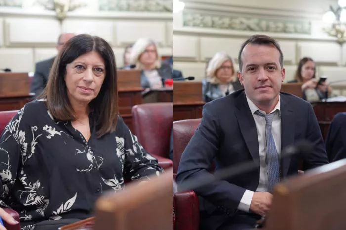 diputados-socialista