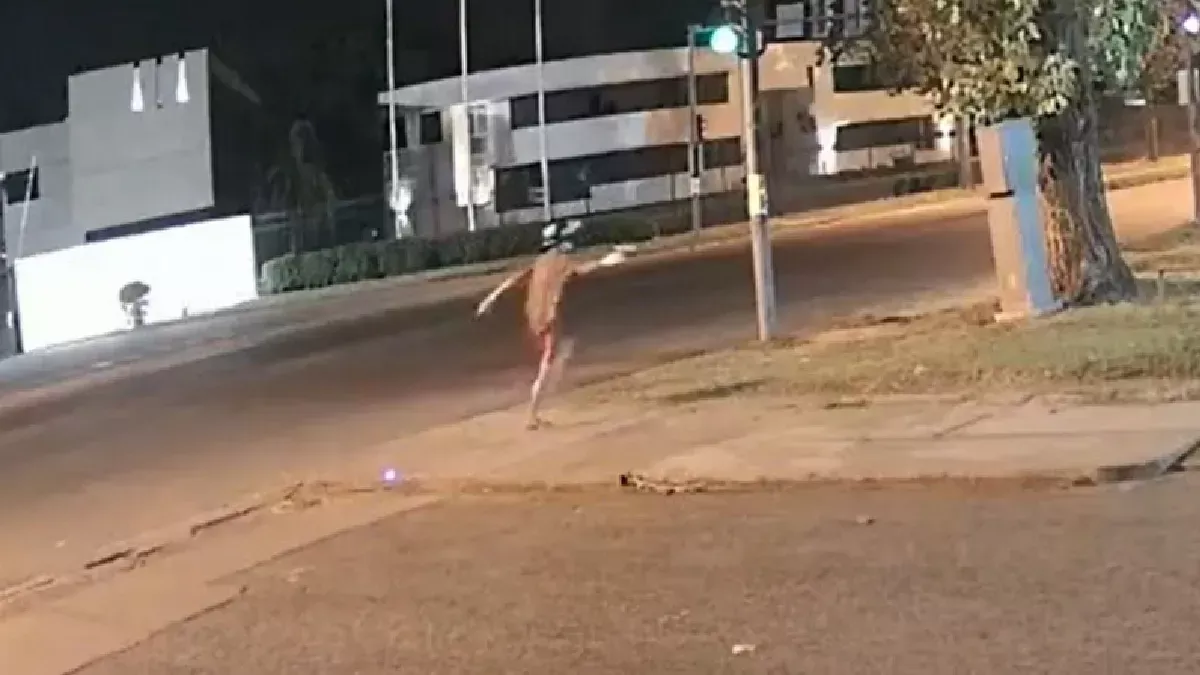 ataque-canal-3-rosario