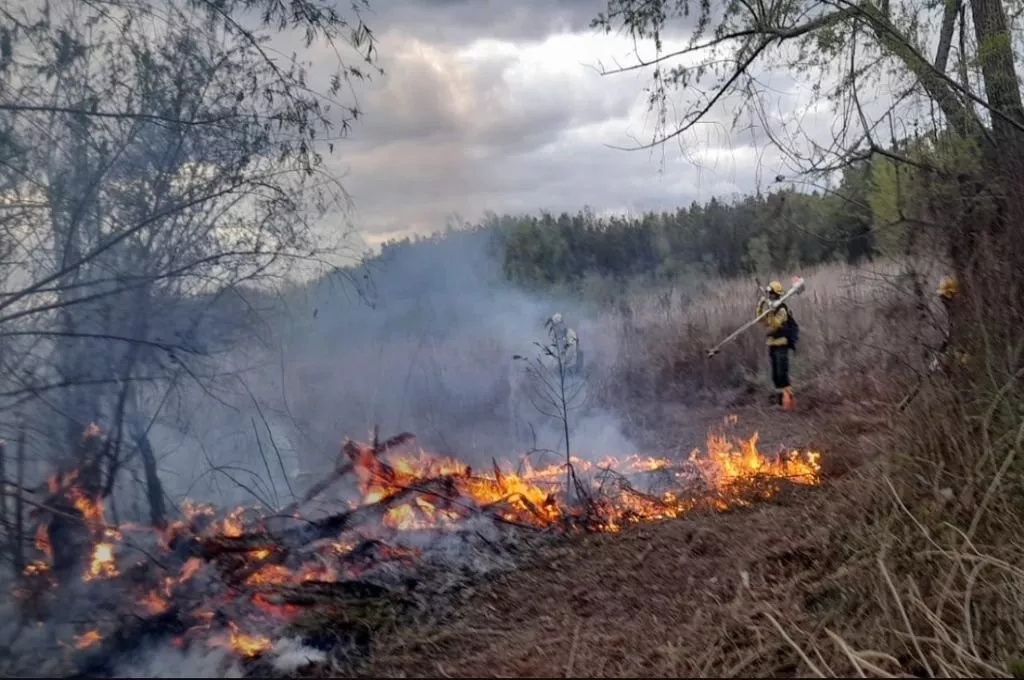 460035_incendios