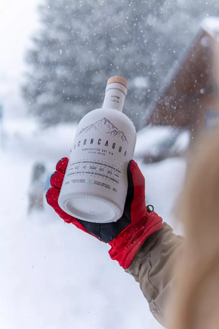 Gin 1